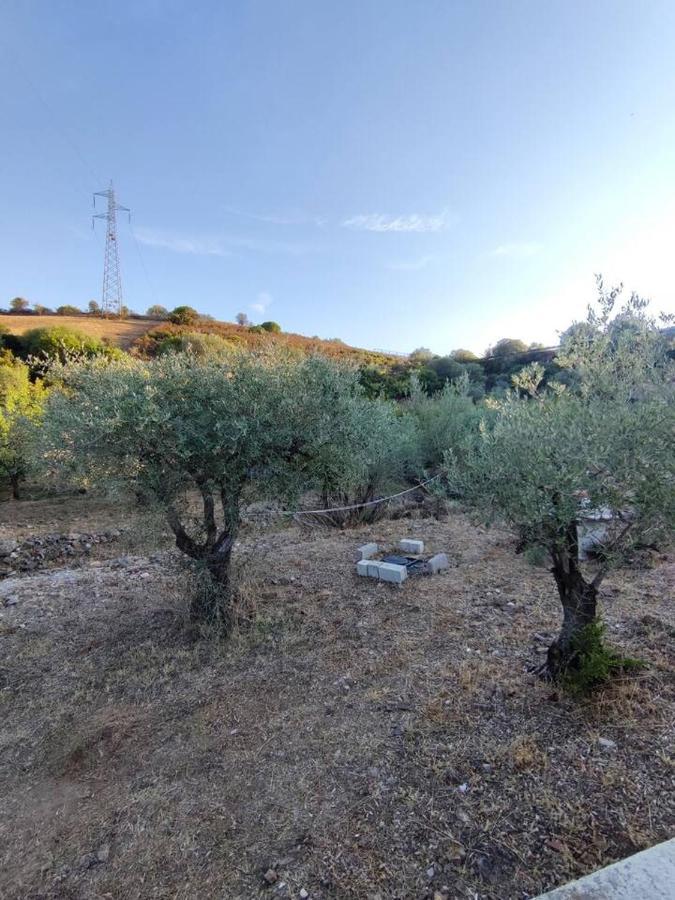 Villa Ulivella Schifoni Exteriör bild