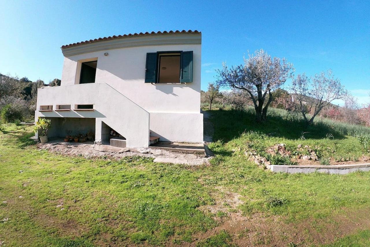 Villa Ulivella Schifoni Exteriör bild