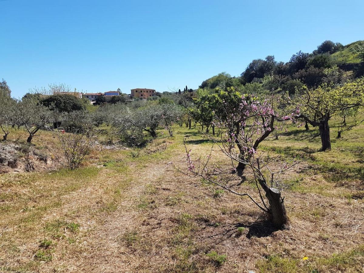 Villa Ulivella Schifoni Exteriör bild