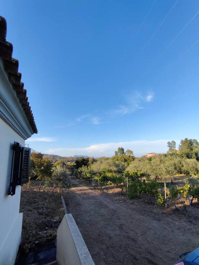 Villa Ulivella Schifoni Exteriör bild
