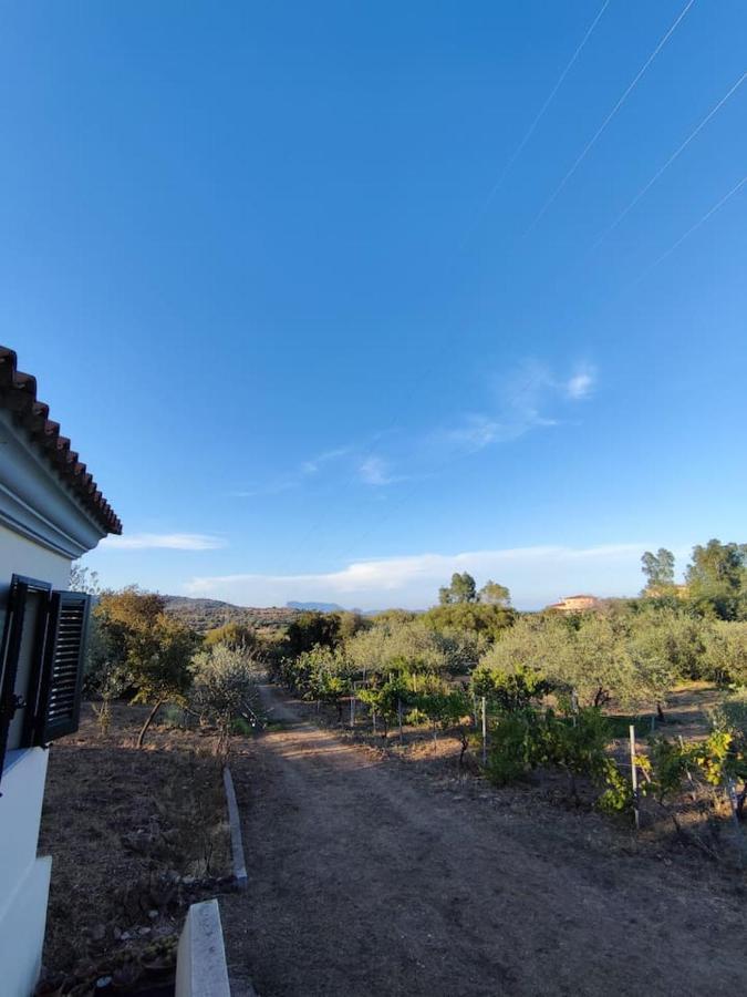 Villa Ulivella Schifoni Exteriör bild