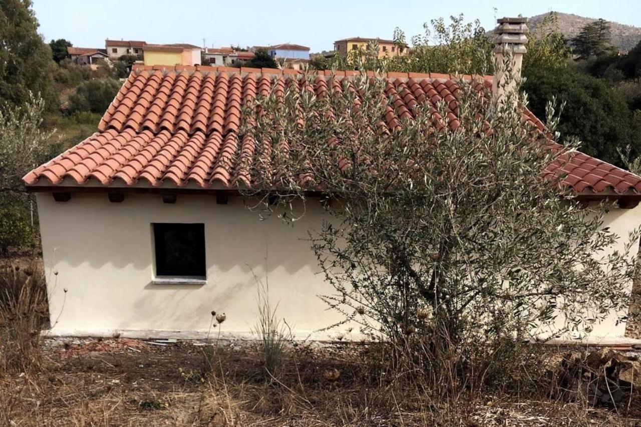 Villa Ulivella Schifoni Exteriör bild